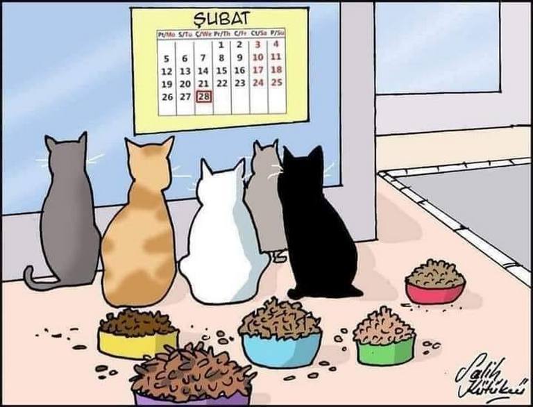 Karikatur000591