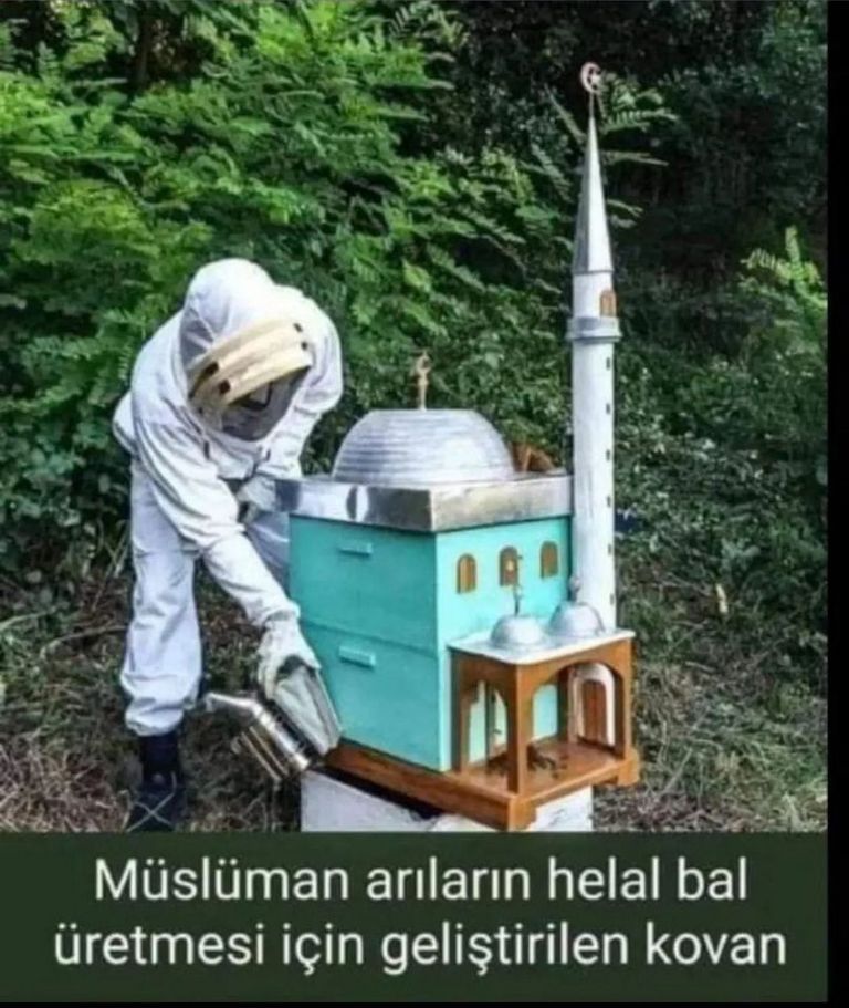 Karikatur003434