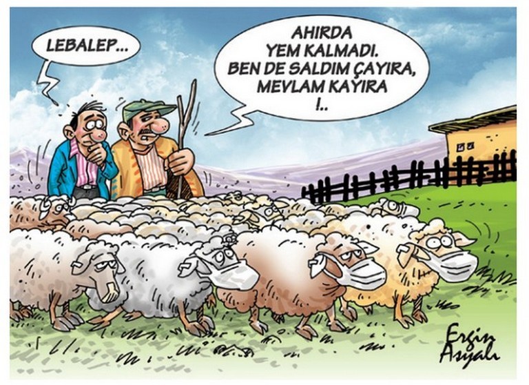 Karikatur004416