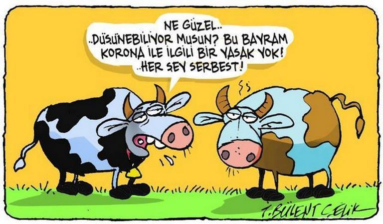 Karikatur006309