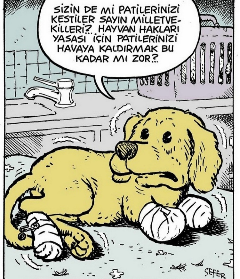Karikatur006349