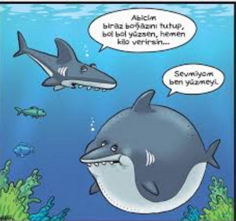 Karikatur008082
