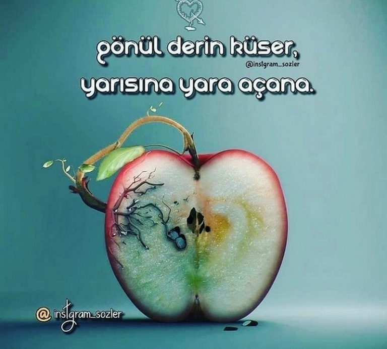 Karikatur008199