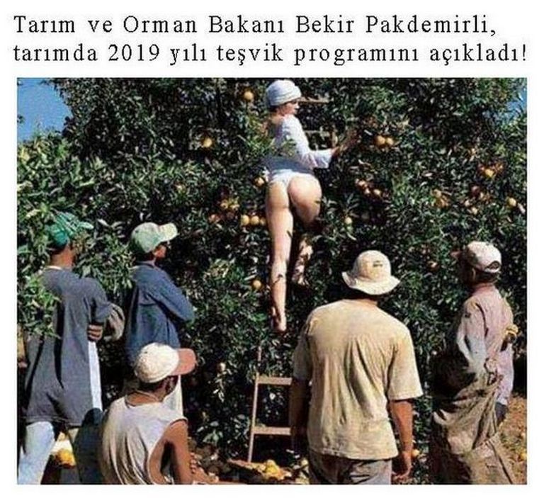Karikatur008675