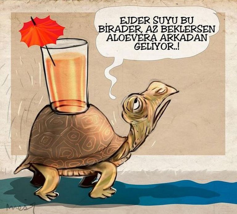 Karikatur008705