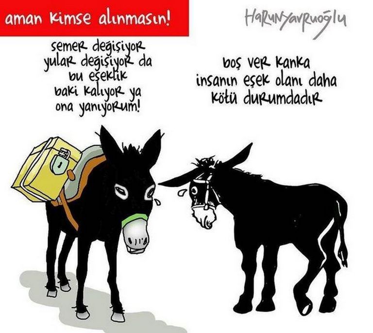 Karikatur008856