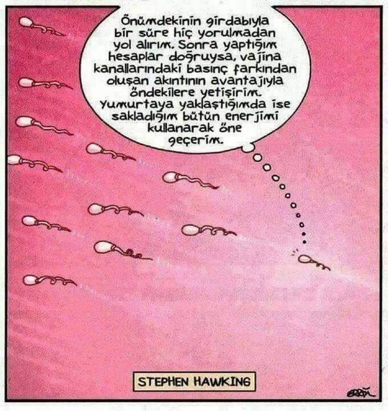 Karikatur009514