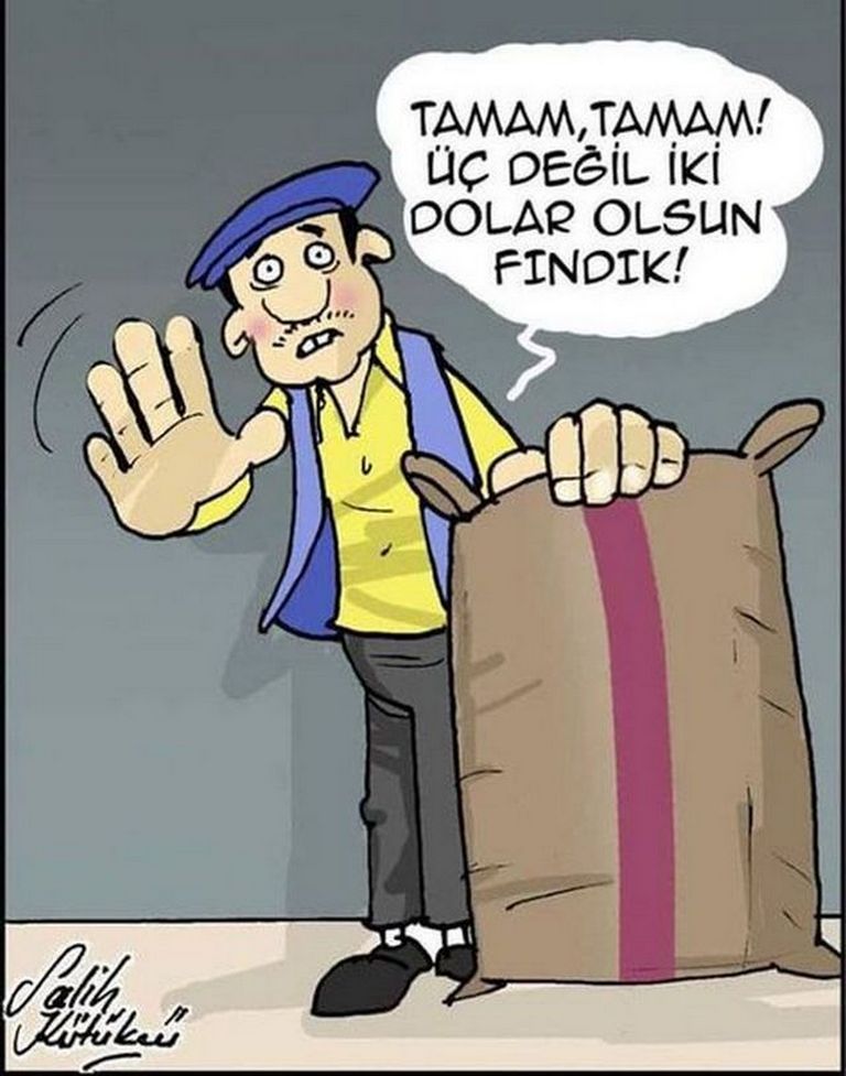 Karikatur011581