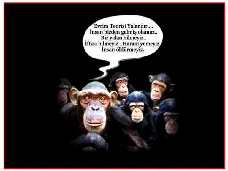 Karikatur012004
