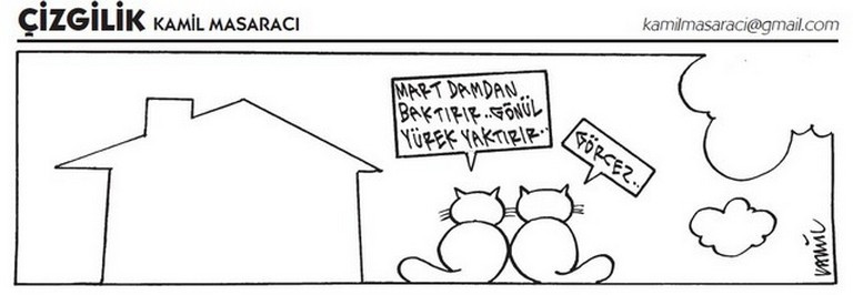 Karikatur012810