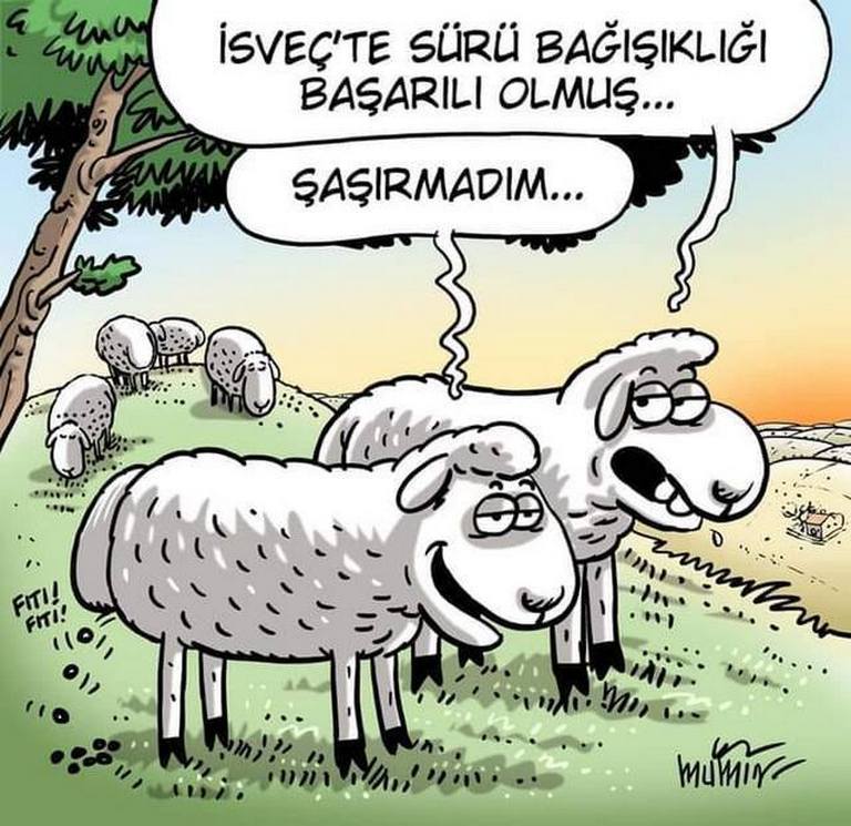 Karikatur012963