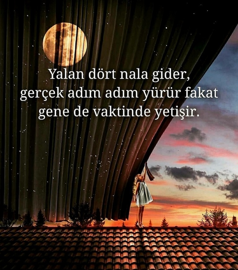 Karikatur013431