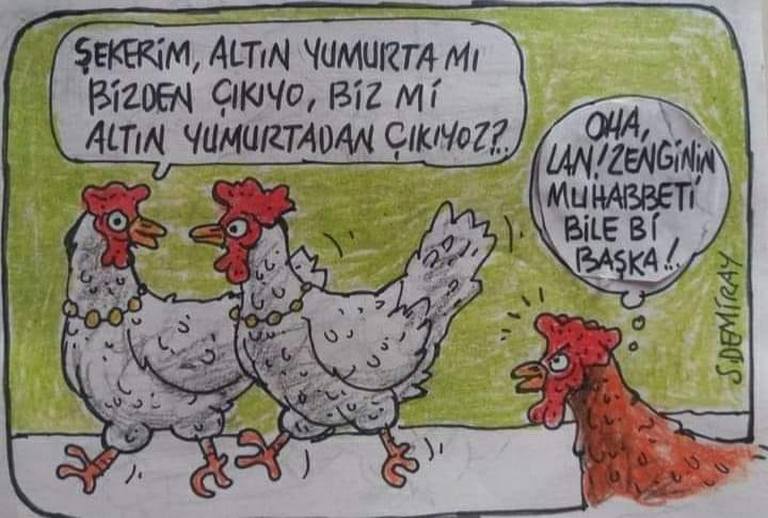 Karikatur016113