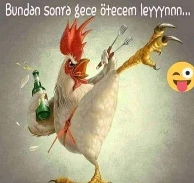Karikatur016384