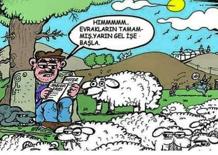 Karikatur018826
