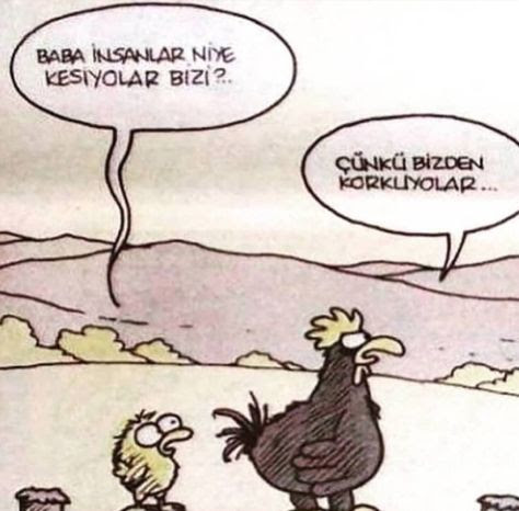 Karikatur019502