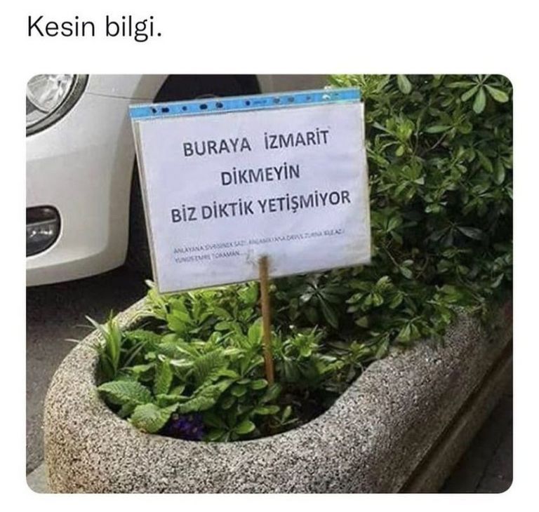 Karikatur020651
