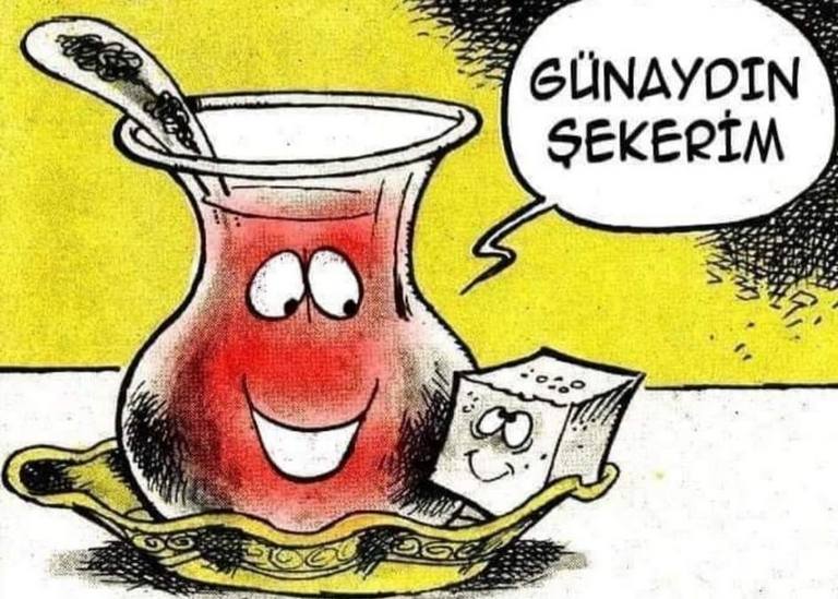 Karikatur021062
