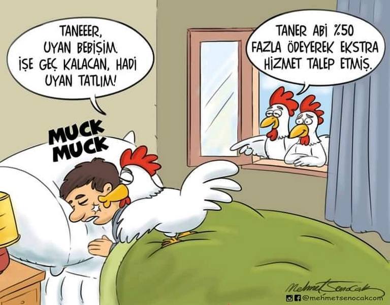 Karikatur021482