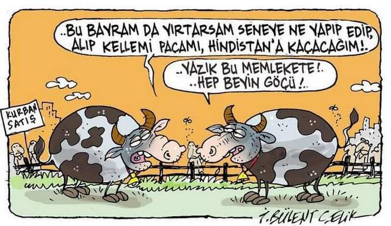 Karikatur022493