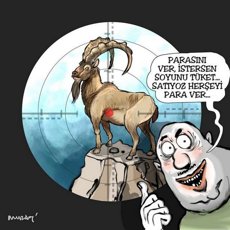 Karikatur023472
