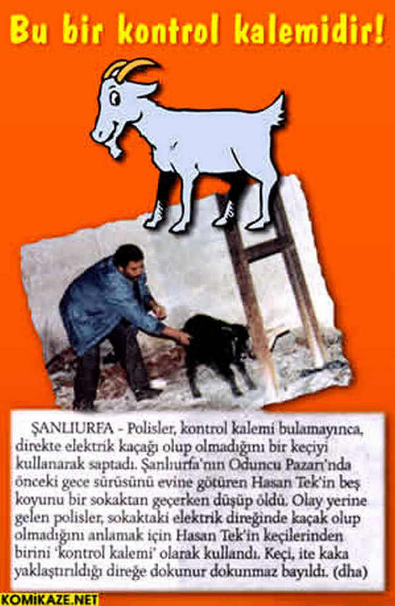 Karikatur023874