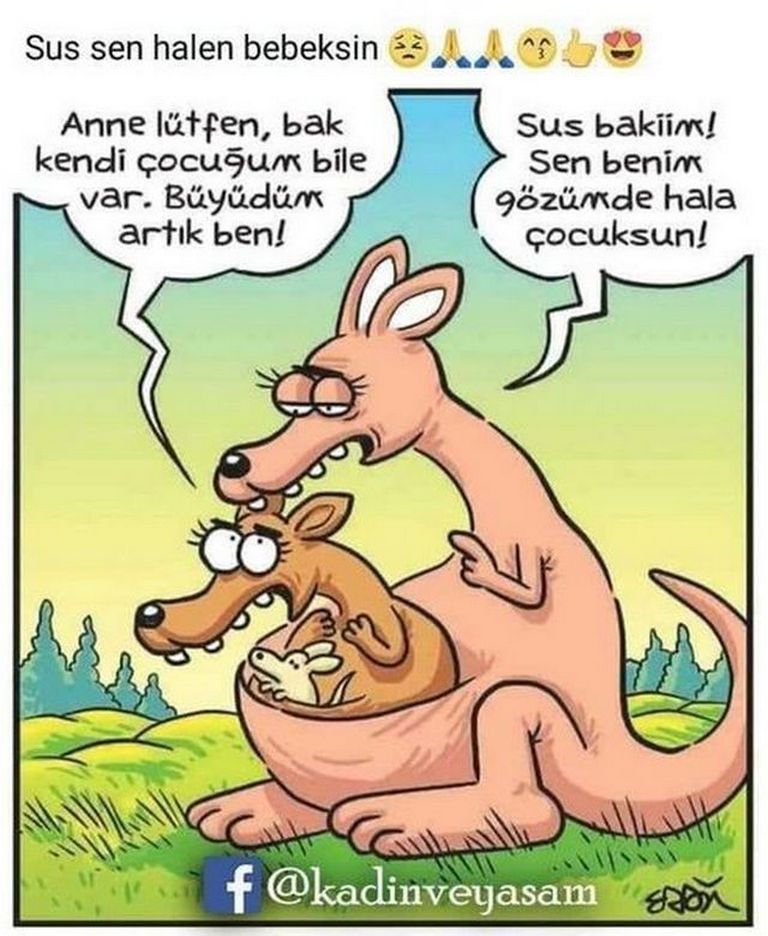 Karikatur025022