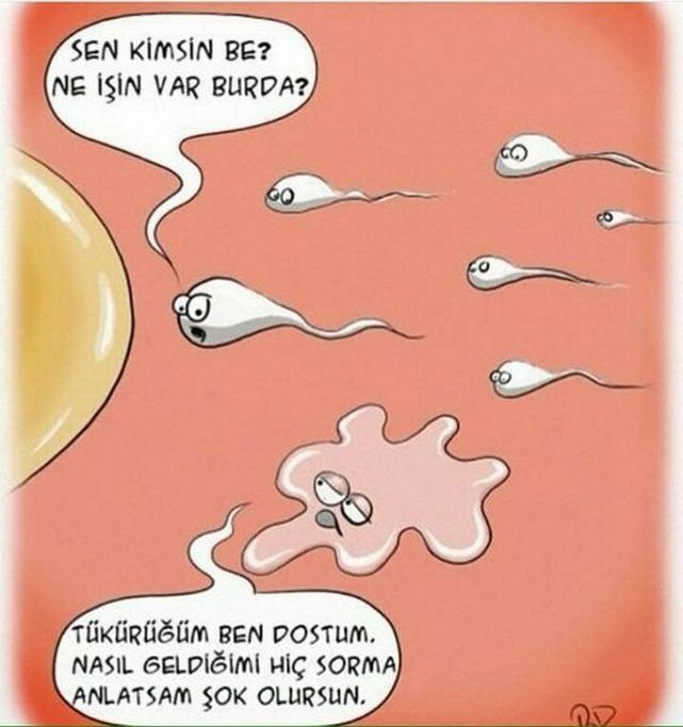 Karikatur025027