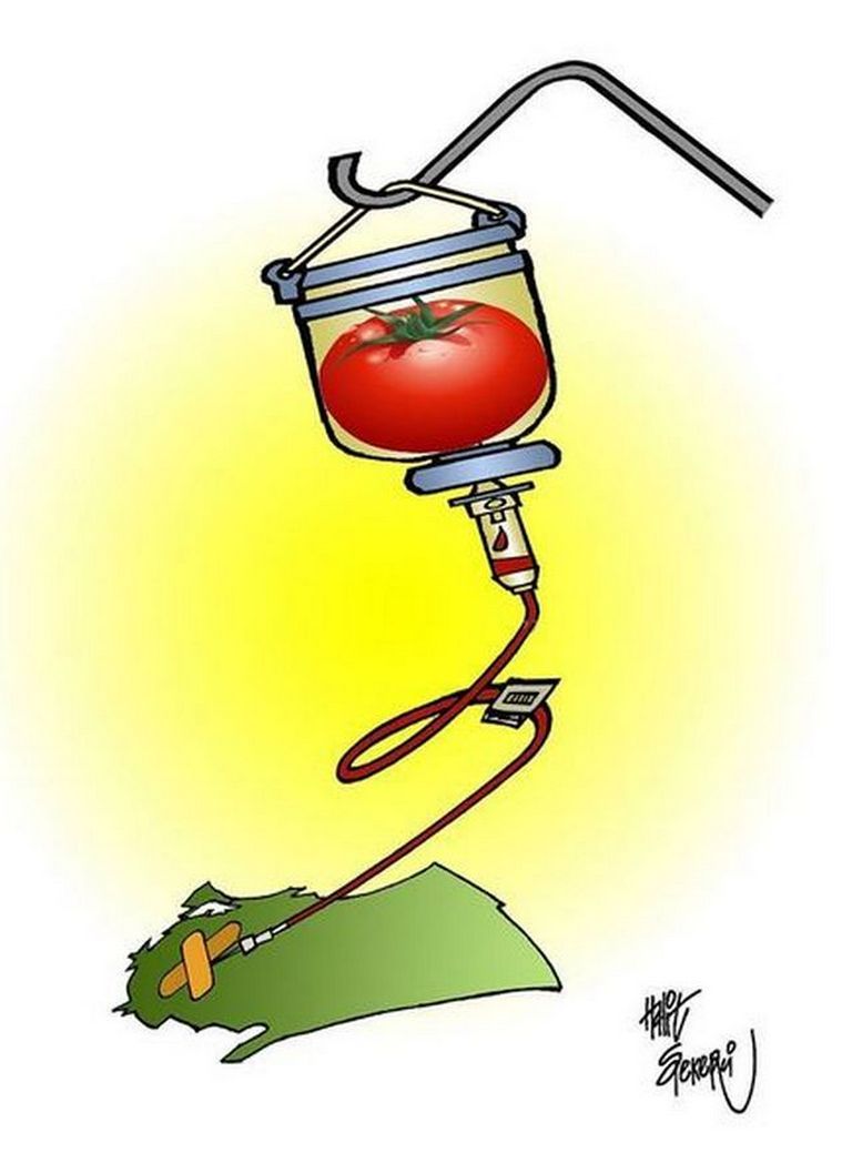 Karikatur025115