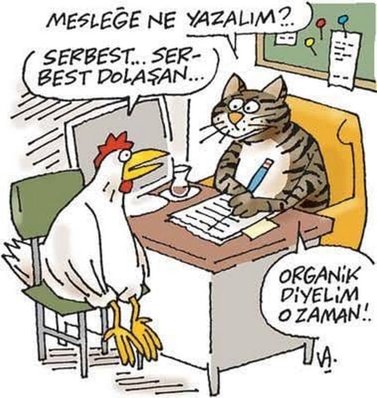Karikatur025341
