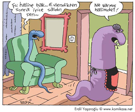 Karikatur026583